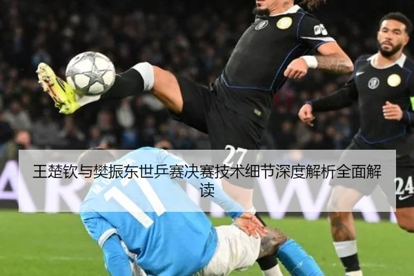 王楚钦与樊振东世乒赛决赛技术细节深度解析全面解读